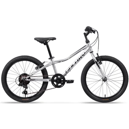 Galaxy Neptun 20" - model 2025 strieborná - 10" (113-135 cm)