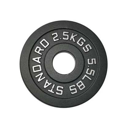 Kubisport Náhradní kotouč speciální litinový 2,5kg - průměr otvoru 50 mm