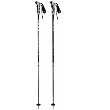 Síbotok BLIZZARD Allmountain ski poles, silver