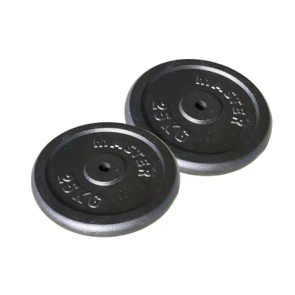 Kotúč MASTER 25 kg kov (pár)