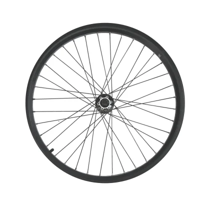ELOPS Predné koleso 26" dvojstenný ráfik, kotúčové brzdy, na nákladný bicykel Longtail R500 E 26"