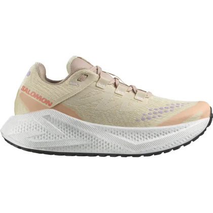 Salomon Aero Glide 3 GRVL W
