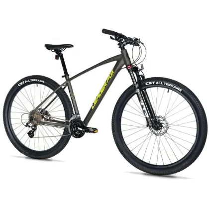 Leader Fox EVOLUTION 29