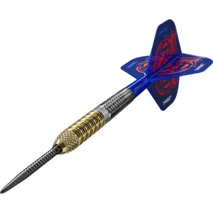 Šípky steel Target Raymond Van Barneveld G6 23g SP 95% wolfram