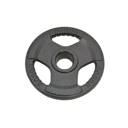 Sedco Kotouč činky IRON CAST - 50 mm