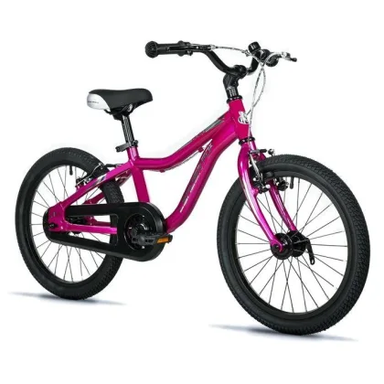 Leader Fox BUBU BOY 18 PURPLE