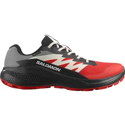 Salomon Alphaglide GTX W