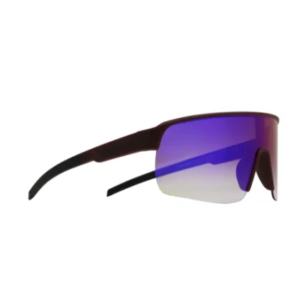Sluneční brýle RED BULL SPECT DAKOTA-012, mauve, grey smoke with red-purple mirror, CAT 3