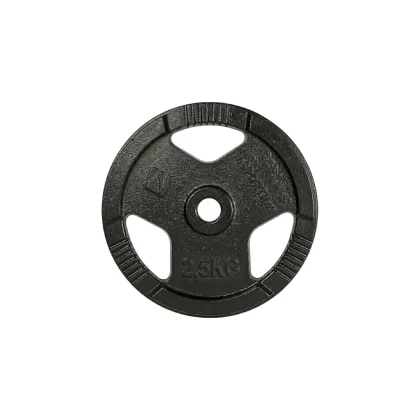 inSPORTline Hamerton Black 2,5 kg