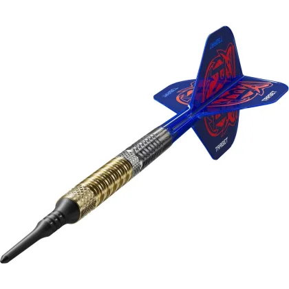 Šípky soft Target Raymond Van Barneveld G6 20g 95% wolfram