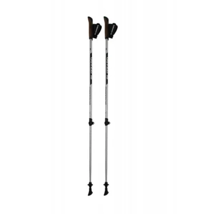 Nordic walking hole BLIZZARD Alu Performance nordic walking poles, silver black