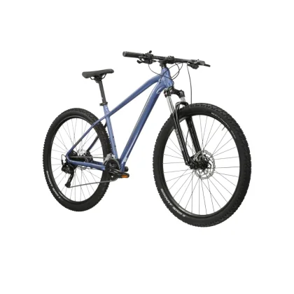 Kross Level 2.0 29" - model 2025 modrá / šedá / lesk - XXL (22", 195-205 cm)