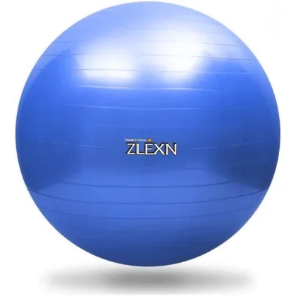 Sedco Gymnastický míč ZLEXN Yoga Ball 55 cm
