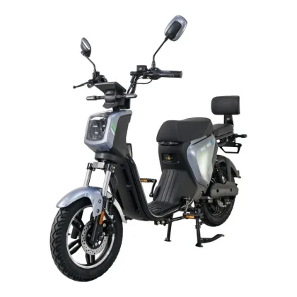 RACCEWAY Elektroskútr Pařez 40 s ŘP šedý