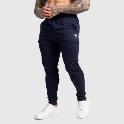 Pánske jogger tepláky Iron Aesthetics Snap, navy
