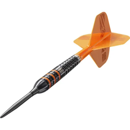 Šípky steel Target Raymond van Barneveld 95K 25g SP 95% wolfram