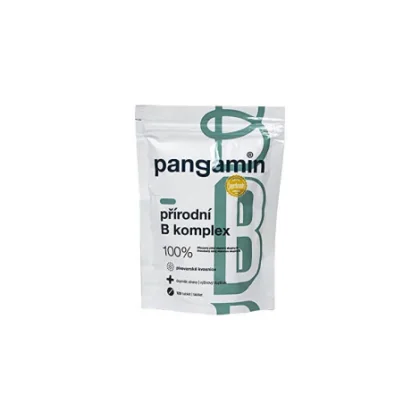 PANGAMIN PRÍRODNÝ B-KOMPLEX tbl (vrecko) 120 ks