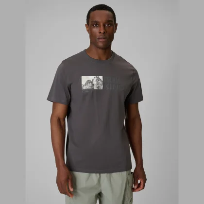 T-shirt regular s potlačou pánsky - sivý