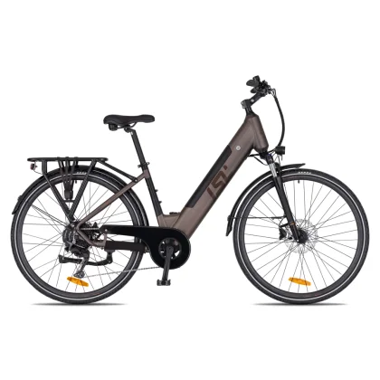 inSPORTline ISL Eclion 648 Wh 28" - model 2026 Deep Coffee - 18" (164-181 cm)