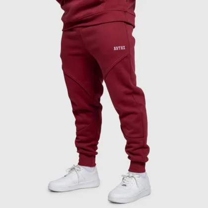 Pánske tepláky Iron Aesthetics ASTHX, bordové