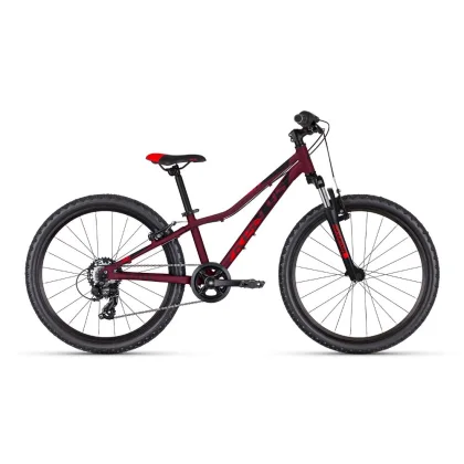 Kellys KITER 50 24" - model 2025