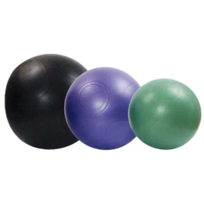 Sedco Gymnastický míč HEAVY 65cm