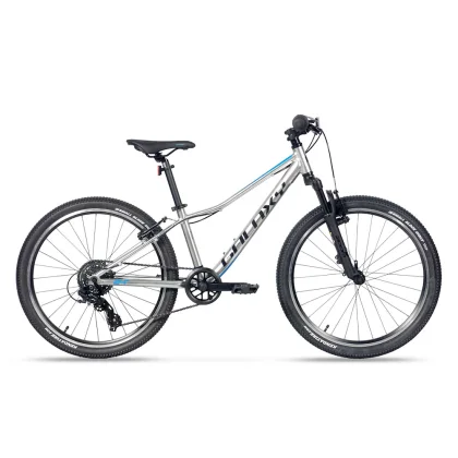 Galaxy Pavo 24" - model 2024 strieborná - 12" (138-148 cm)