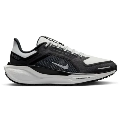 Nike Pegasus 41 GTX W