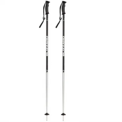 Lyžařské hole BLIZZARD Sport ski poles, black matt silver