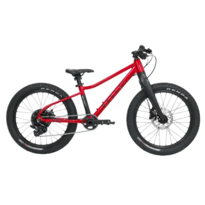 Detský horský bicykel RASCAL Wild 20, ruby red