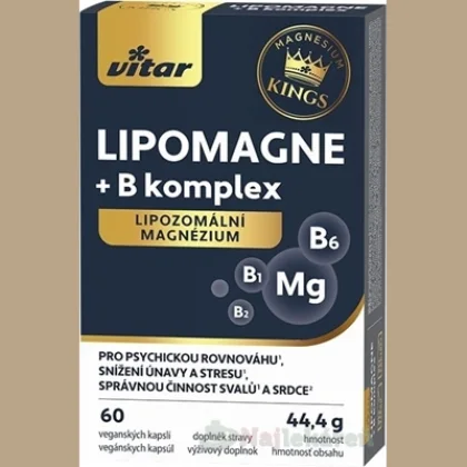 VITAR Kings lipomagne + B komplex 60 kapsúl