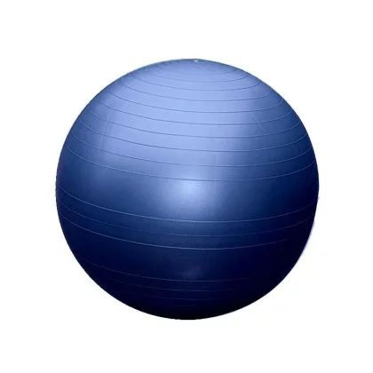 Sedco Gymnastický míč 65cm EXTRA FITBALL