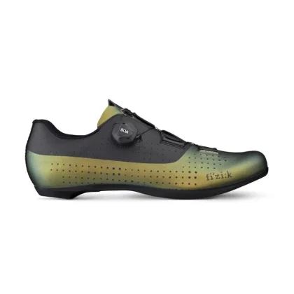 Fizik Overcurve R4 Iridescen