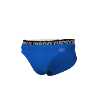 Pánske plavecké plavky ARENA MENS ELASTIC LOGO SWIM BRIEFS