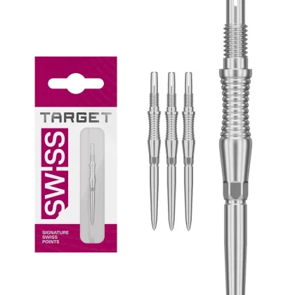 Hroty na šípky Target Swiss Storm RST strieborné 30mm 3ks