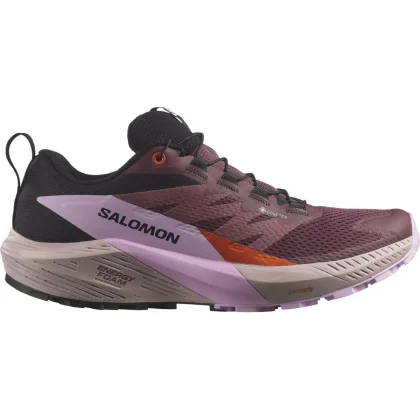 Salomon Sense Ride 5 GTX W