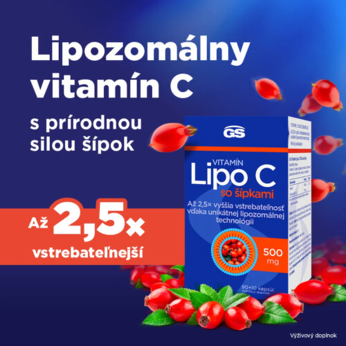 GS Vitamín lipo C 500 mg so šípkami 90 + 10 kapsúl · záber 2