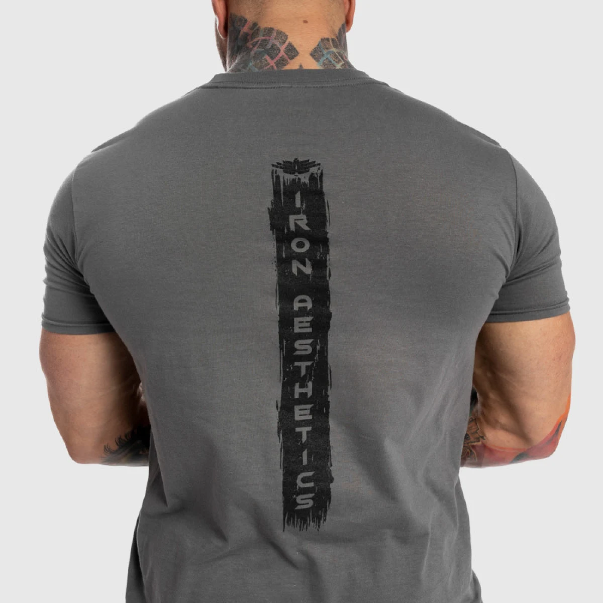 Pánske fitness tričko Iron Aesthetics Force, sivé · záber 2