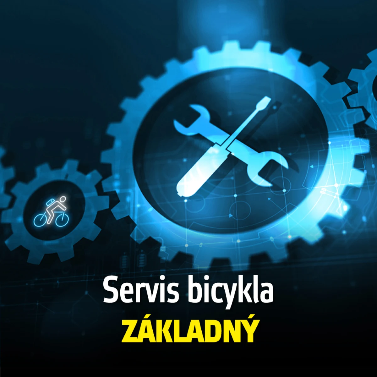 inSPORTline servis Servis bicykla - základný · záber 1