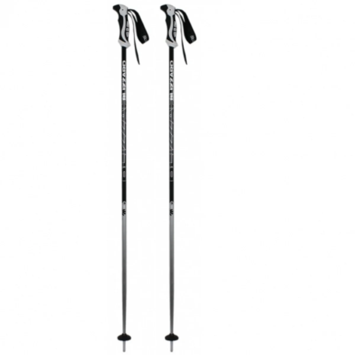 Lyžařské hole BLIZZARD Allmountain ski poles, silver · záber 1
