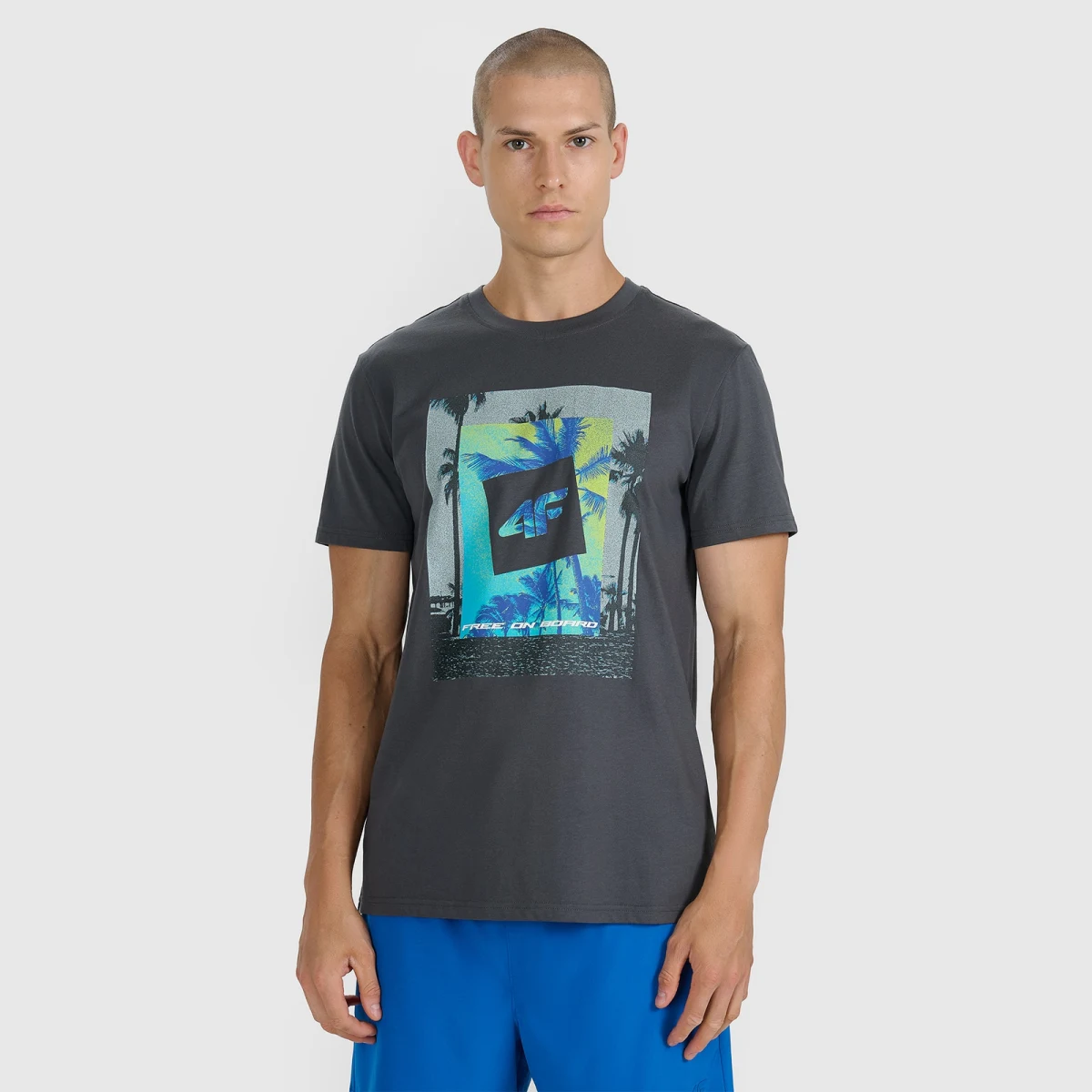 T-shirt regular s potlačou pánsky - sivý - Farba: sivá | Pohlavie: Pánske · záber 1