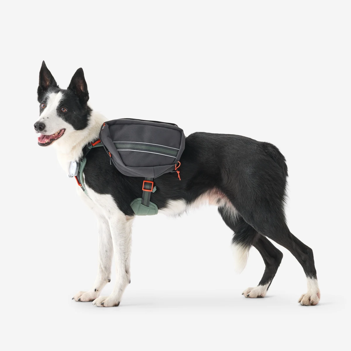 DECATHLON Turistický postroj na psa XL · záber 1