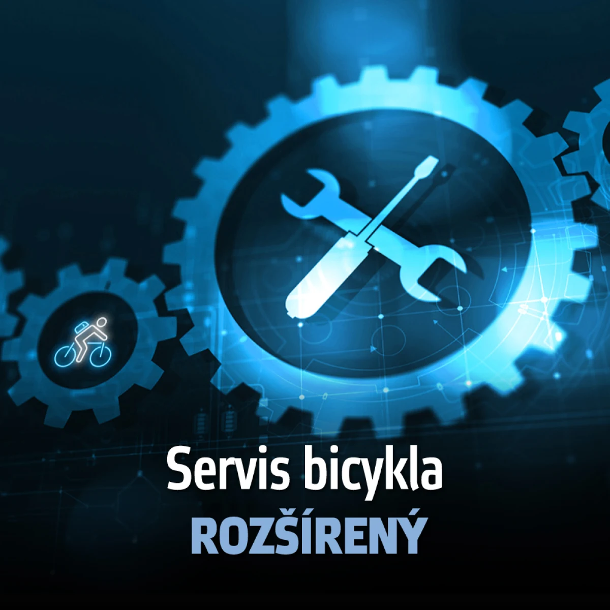 inSPORTline servis Servis bicykla - rozšírený · záber 1