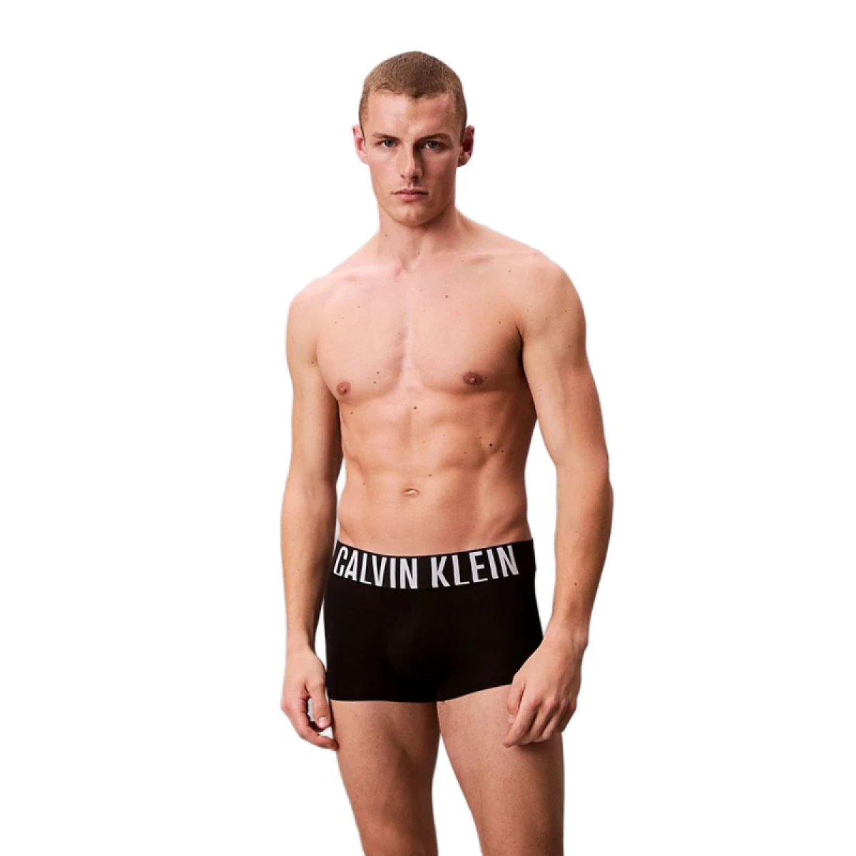 Pánske boxerky CALVIN KLEIN 3 PACK-LOW RISE TRUNK 3PK · záber 2