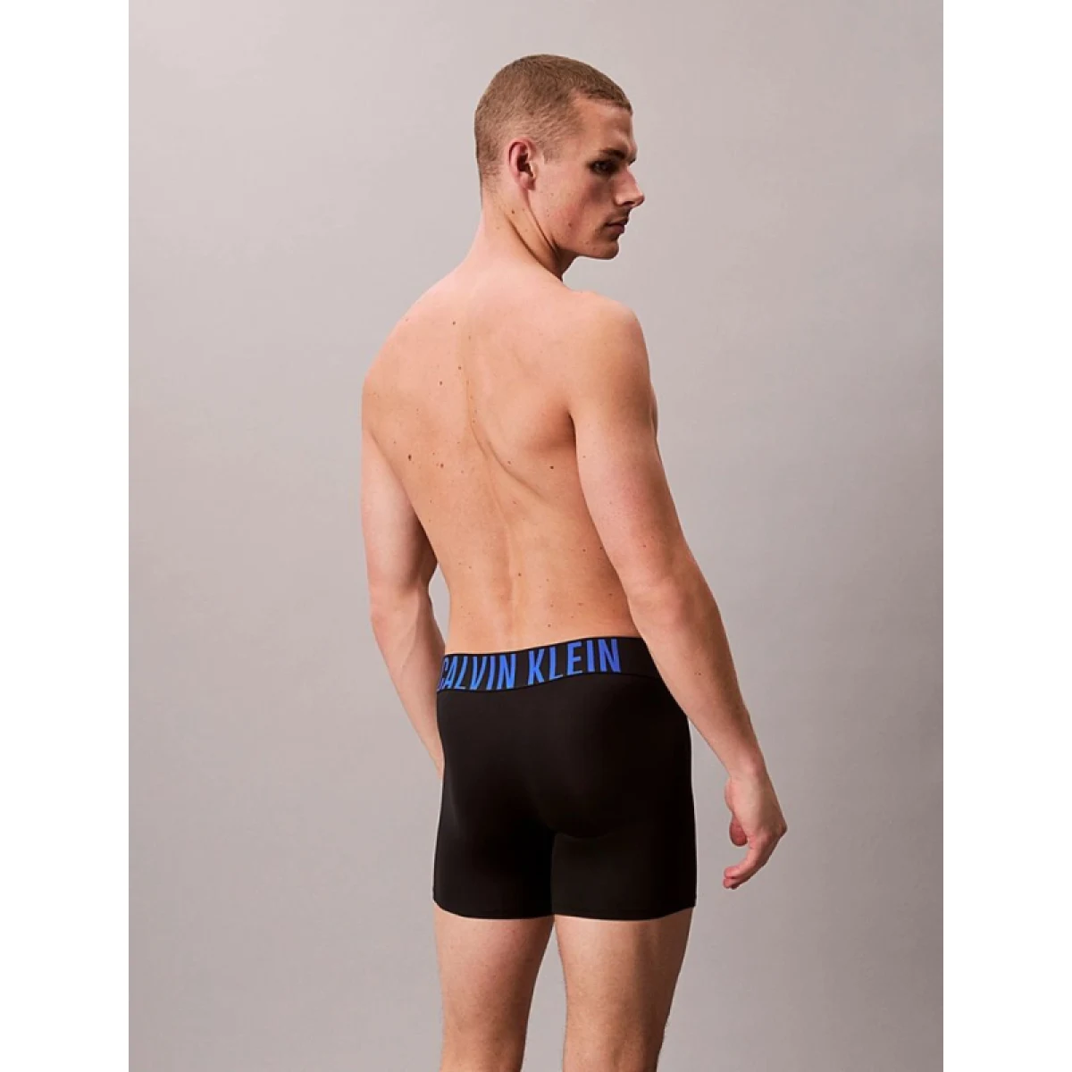 Pánske boxerky CALVIN KLEIN 3 PACK-BOXER BRIEF 3PK · záber 3