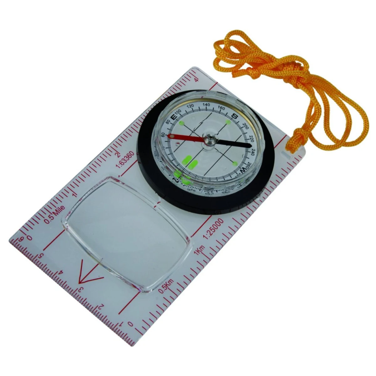 AceCamp Fluorescent · záber 1