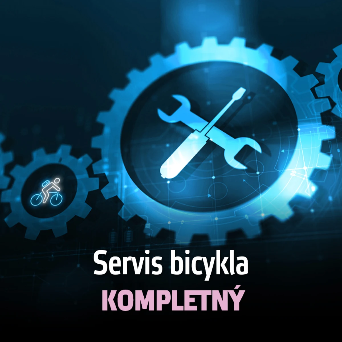 inSPORTline servis Servis bicykla - kompletný · záber 1