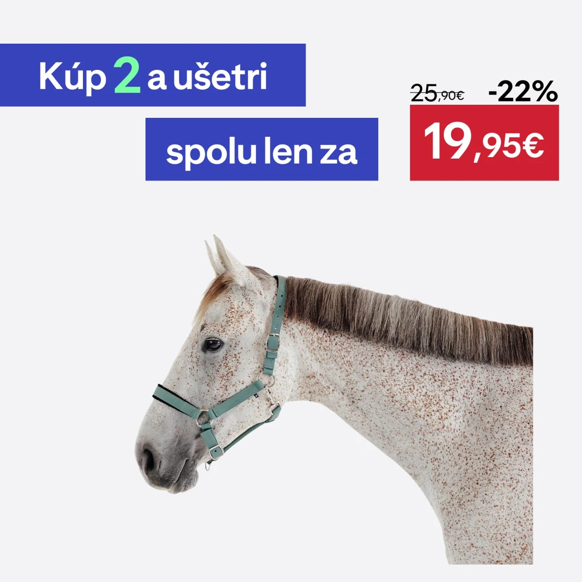 FOUGANZA Jazdecká ohlávka pre koňa zelená eukalyptová CS · záber 1