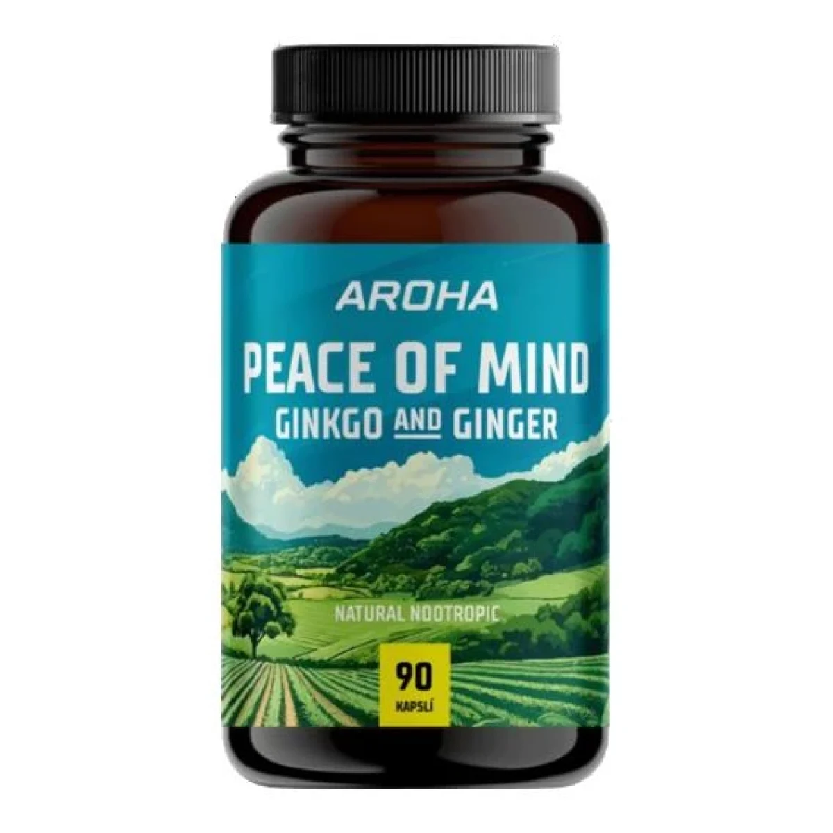 Aroha Ginkgo Ginger 90 kapslí · záber 1