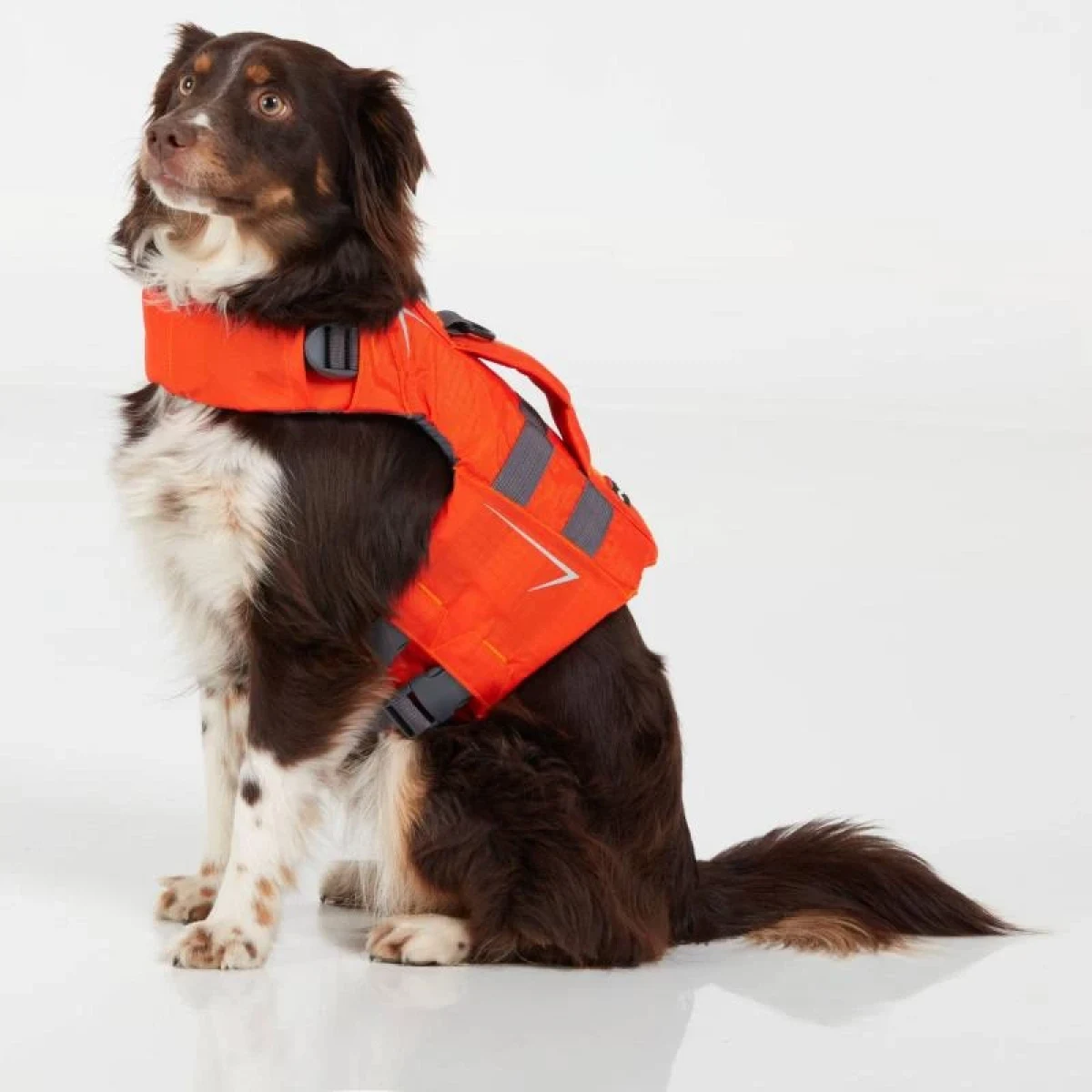 NRS CFD Dog vesta - Barva: Oranžová · záber 1